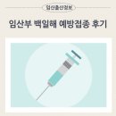 임신 32주 임산부 백일해 주사 예방접종 후기