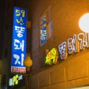 59년똥돼지
