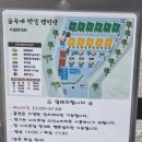 숲속에햇살캠핑장 이미지