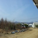 철수농장 이미지