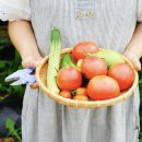 텃밭가꾸기 이미지