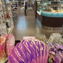 Street Circus 이미지