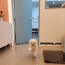 설미용실 이미지