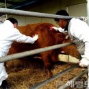 봉화가축병원 이미지