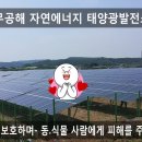 자연1호 태양광발전소 이미지