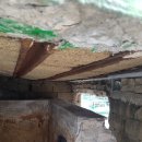 세화 정원 이미지