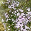 두원농장 이미지