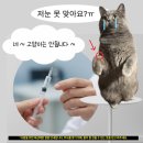 서인천성모의원 이미지