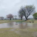 골프파크 | 제20회 밀양시장배 전국파크골프대회 후기