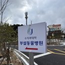 제주대학교 수의과대학 부설동물병원 이미지