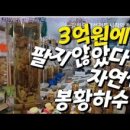 봉황건강원