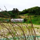 원주토지공인중개사사무소 이미지