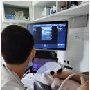 데일리 동물의료센터 이미지