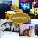 온천부동산중개 이미지