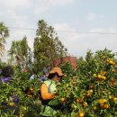 월평농장 이미지