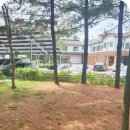 금동어린이공원 이미지