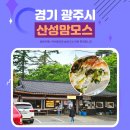 산성 | 경기도 광주 남한산성 부추빵 맛집 산성맘모스 후기