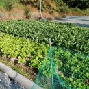 태안캠핑농원 이미지