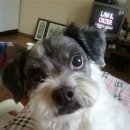 엄마사랑화장실 이미지