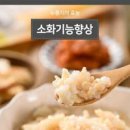 찹쌀 10가지 칼로리 이미지