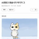 뷰티마누스 | 이직 1주차 일기 비스무리한 것/ 26.02.02 ~
