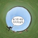 남을베려하는마음으로 트윗 모음36.twt 이미지