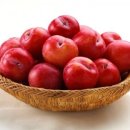 유방1통 이미지