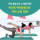 허리통증에 좋은 버드독 허리운동 이미지