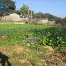 공산면사무소 이미지