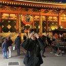 🇯🇵 도쿄에서 두달살이 (4)