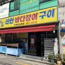 신안바다장어 이미지