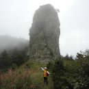 버스정류장 06-154 | 전라남도 진도군 조도(돈대산-신금산) 테마산행
