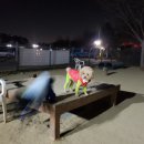 땅콩애견놀이터 이미지