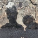 씨유 영도흰여울문화마을점 | 흰여울문화마을카페｜바다뷰 최고였던 영도카페 솔직후기