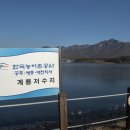 계룡 낚시터 네이버블로그