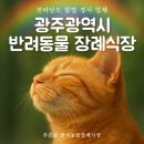 늘푸른솔약국 | 전남 광주 반려동물장례식장, 푸른솔에서 아이를 떠나보내며