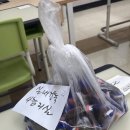 풍동고등학교 | [고양시 대학생 멘토단] :: 풍동고등학교 멘토링 후기 ::