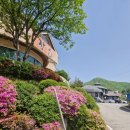 산골연잎장어 이미지