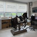 서울 근교 승마 체험 &#39;용인포니승마클럽&#39; 승마 레슨 후기 🐴