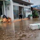 진도읍 조금시장 이미지