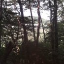 이천부동산중개사무소 이미지