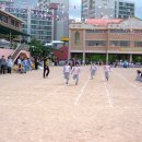 동천초등학교 이미지