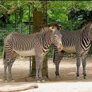 아이앤유 이미지