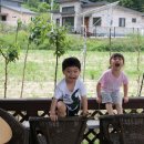 양평할머니 이미지