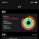 석대다리 이미지