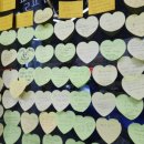 독독누구냥 이미지