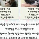 아리치킨 이미지