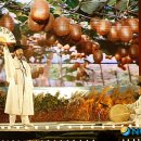 보성 다향체육관 이미지