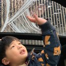 조이세차장 이미지