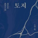 더신나영